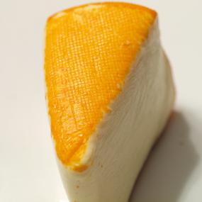 QUEIJO SALUT