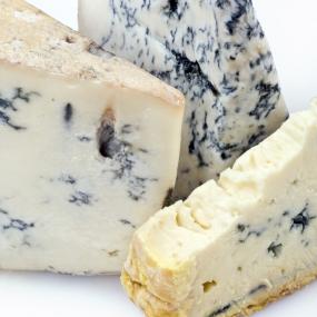 QUEIJO GORGONZOLA EM CUNHA
