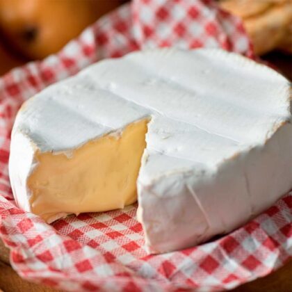 QUEIJO BRIE TRIANGULO