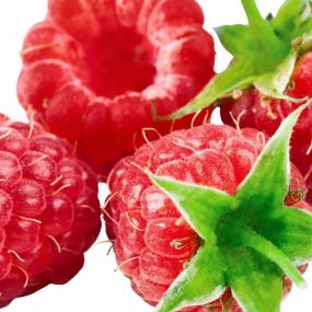 FRUTA FRAMBOESA