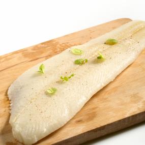 FILE DE BACALHAU (SAITHE) 1500 UP