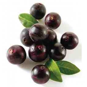 POLPA DE ACAI